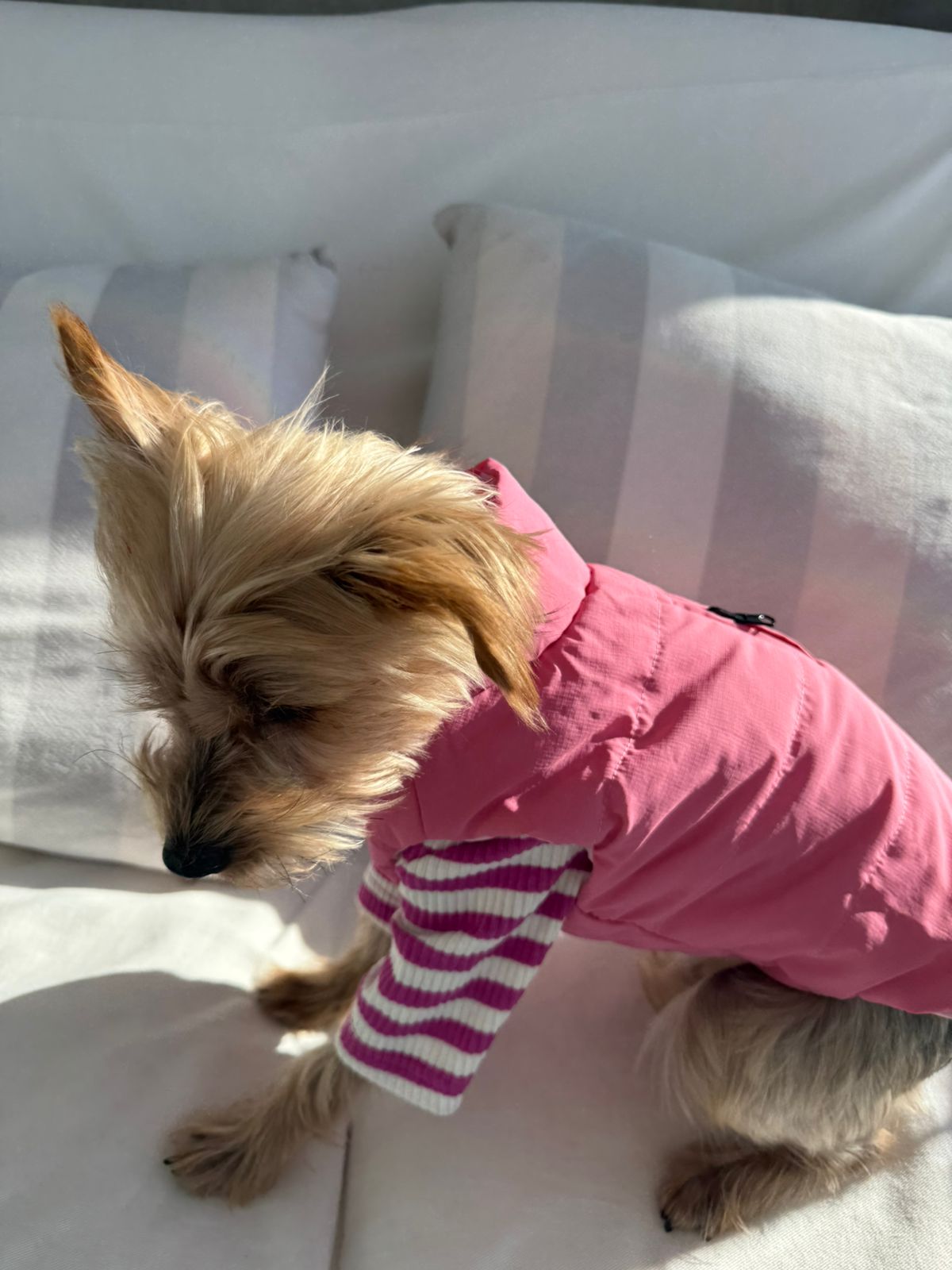 Combo Invierno Rosa