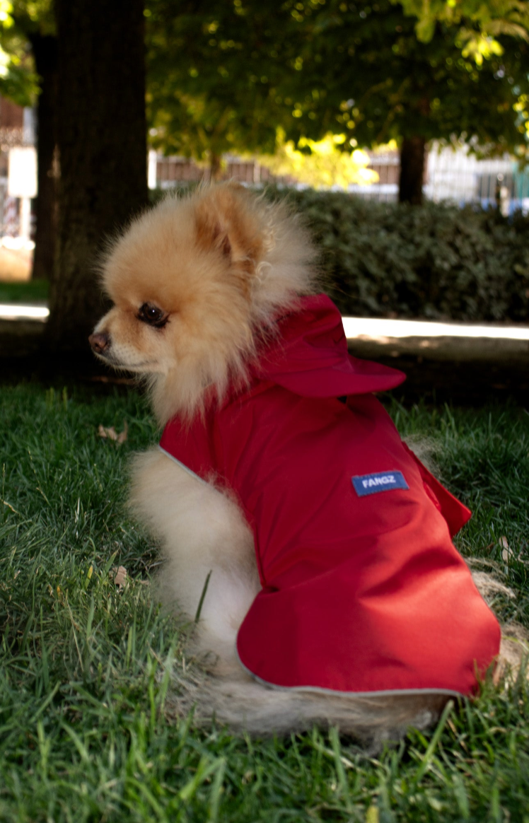 Piloto Cherry