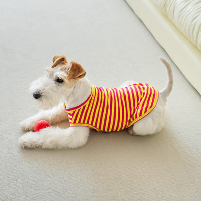 Petit Tee - Rosa y Amarillo