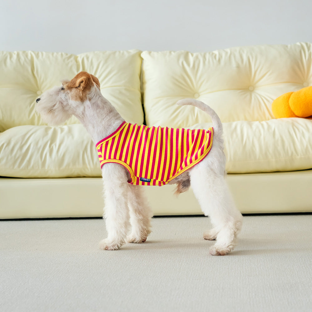 Petit Tee - Rosa y Amarillo