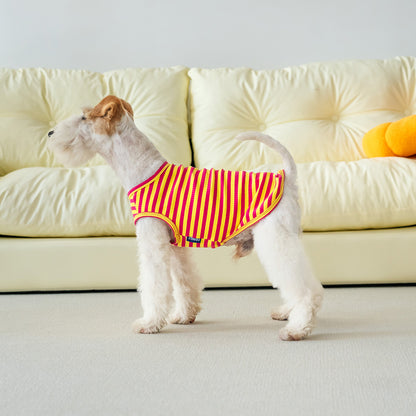 Petit Tee - Rosa y Amarillo