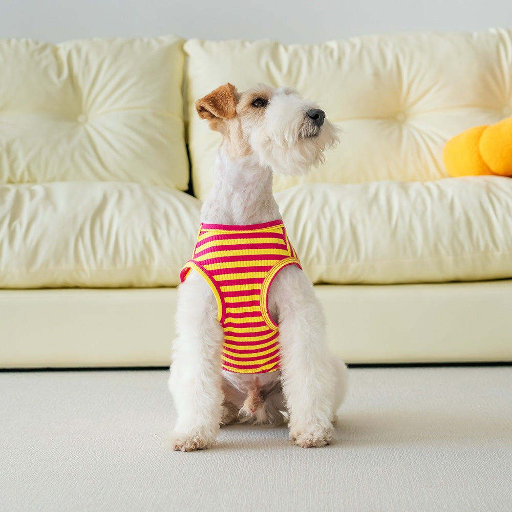 Petit Tee - Rosa y Amarillo