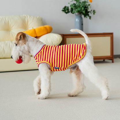 Petit Tee - Rosa y Amarillo