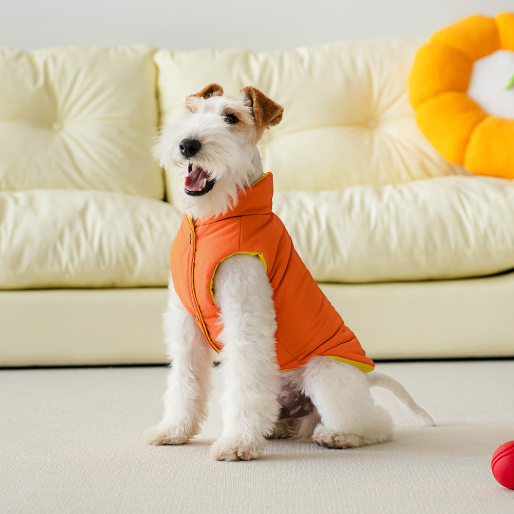 Le Puffer – Amarillo y Naranja