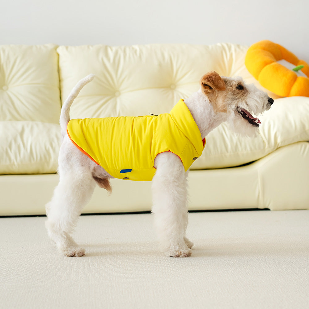 Le Puffer – Amarillo y Naranja