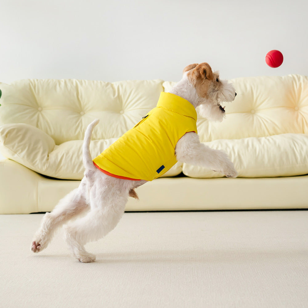 Le Puffer – Amarillo y Naranja
