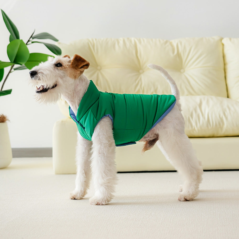 Le Puffer – Azul y Verde