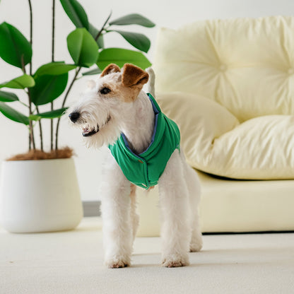 Le Puffer – Azul y Verde