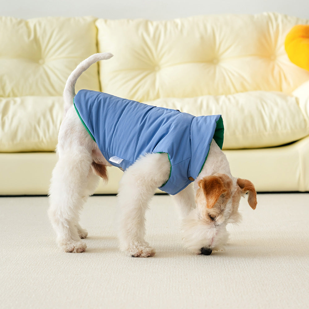 Le Puffer – Azul y Verde