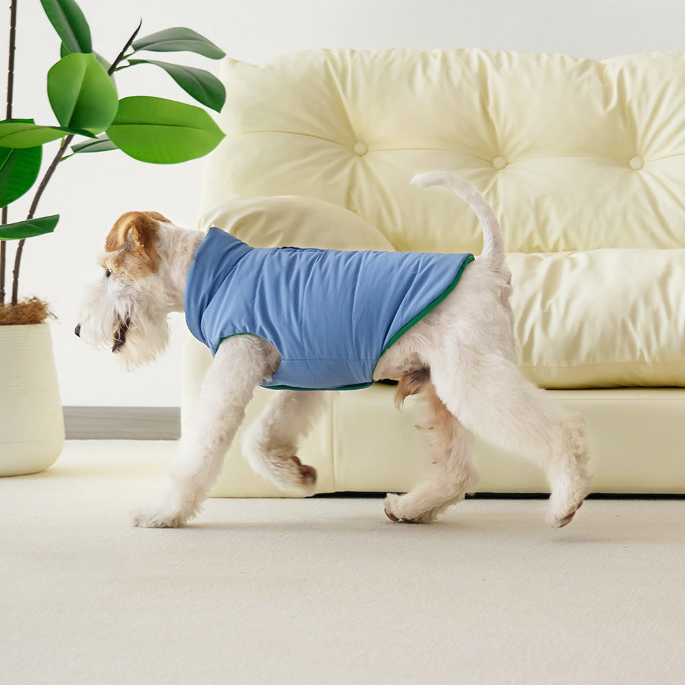 Le Puffer – Azul y Verde