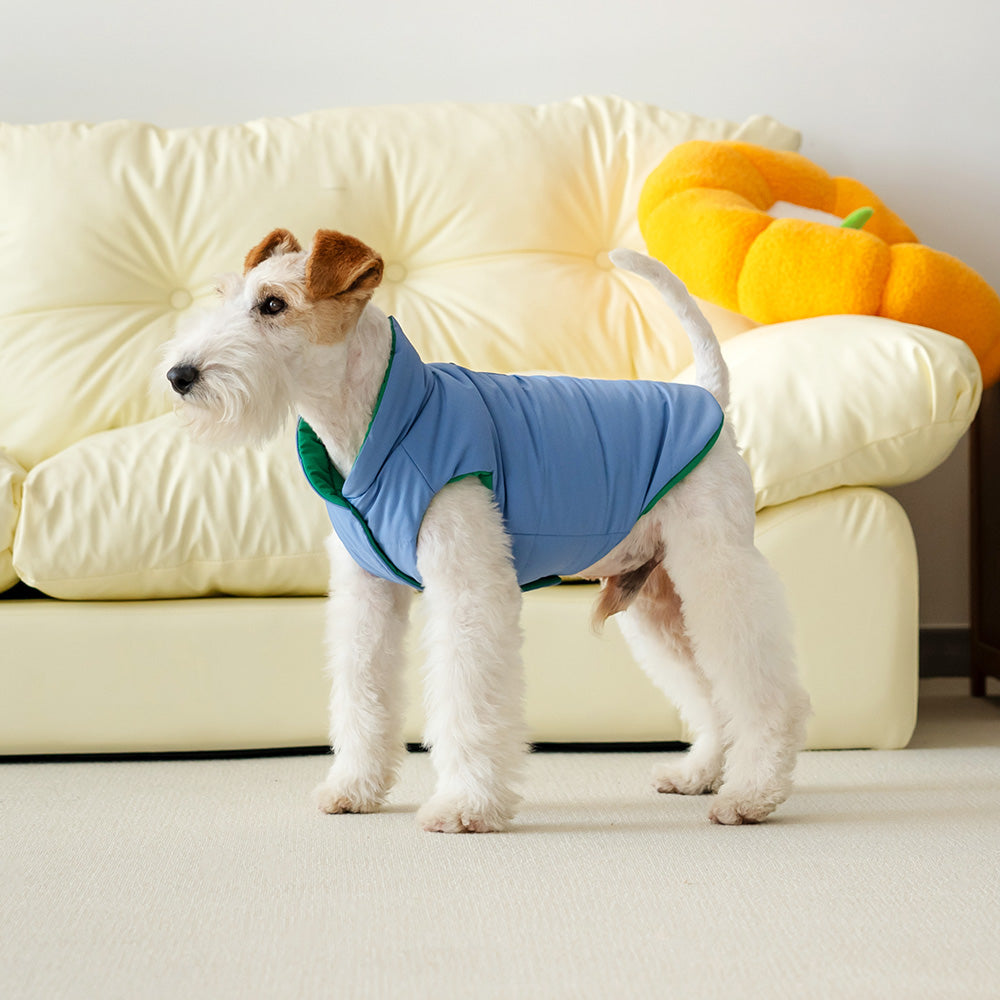 Le Puffer – Azul y Verde