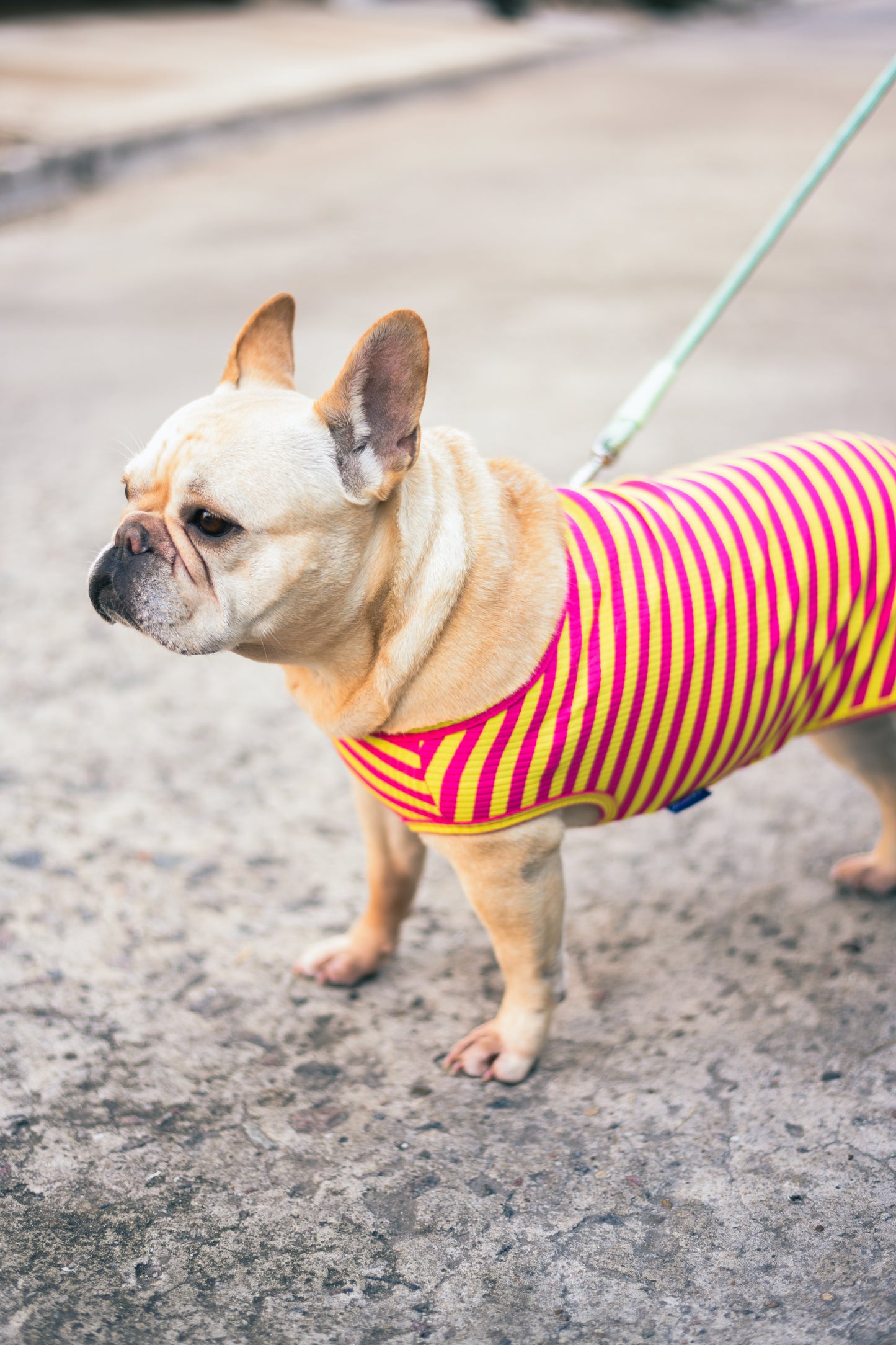 Petit Tee - Rosa y Amarillo