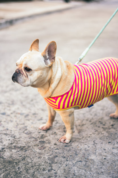 Petit Tee - Rosa y Amarillo