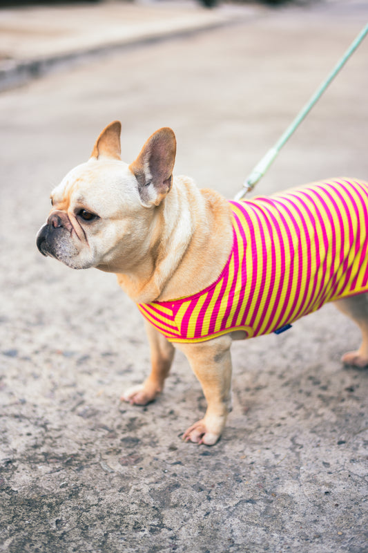 Petit Tee - Rosa y Amarillo