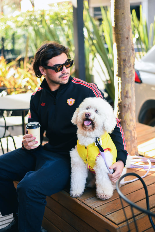 Le Puffer – Amarillo y Naranja
