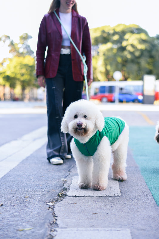 Le Puffer – Azul y Verde