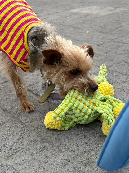 Peluche con Soga