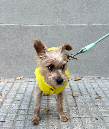 Le Puffer – Amarillo y Naranja