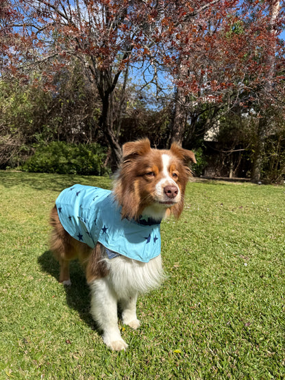 Piloto Estrella