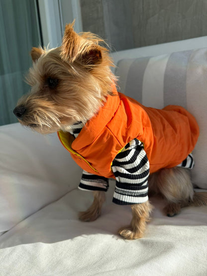 Combo Invierno Frances
