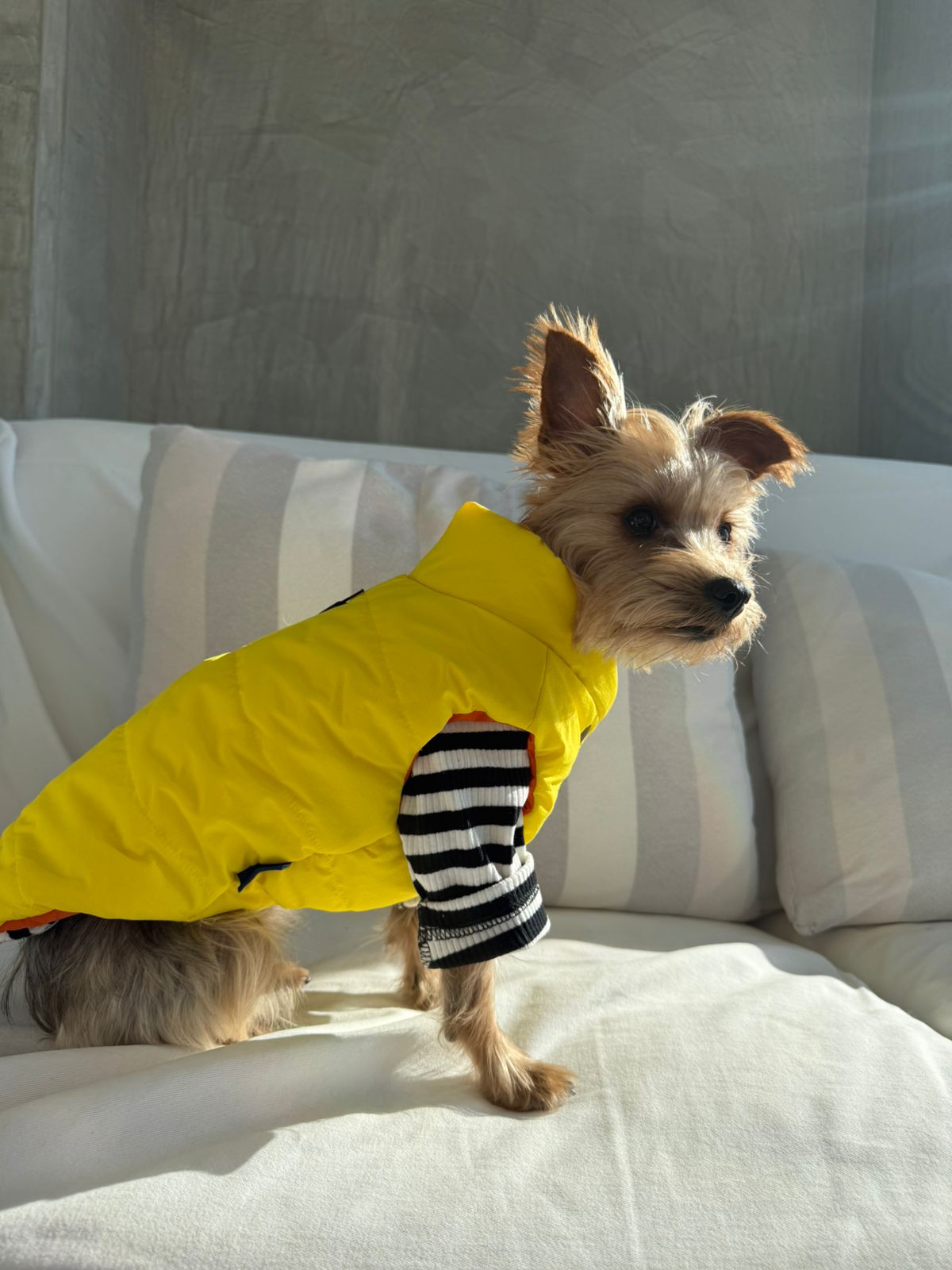 Combo Invierno Frances