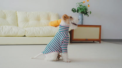 Le Tee Long - Verde Petróleo y Rosa