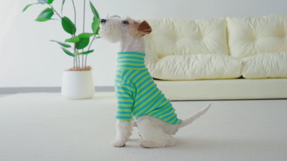 Le Tee Long - Lima y Celeste