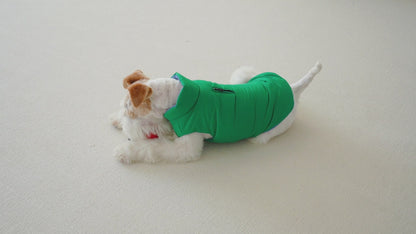 Le Puffer – Azul y Verde