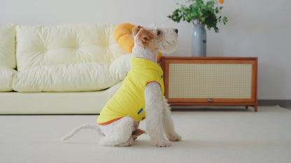 Le Puffer – Amarillo y Naranja