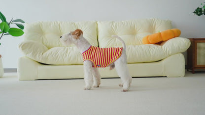 Petit Tee - Rosa y Amarillo